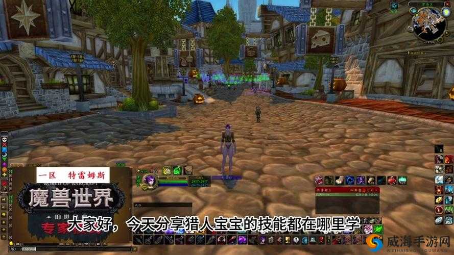 魔兽战场技能伤害提高之独家心得秘籍大揭秘