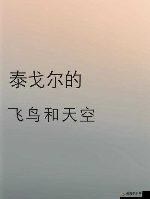 天空之门中翅膀的作用及其独特魅力解析