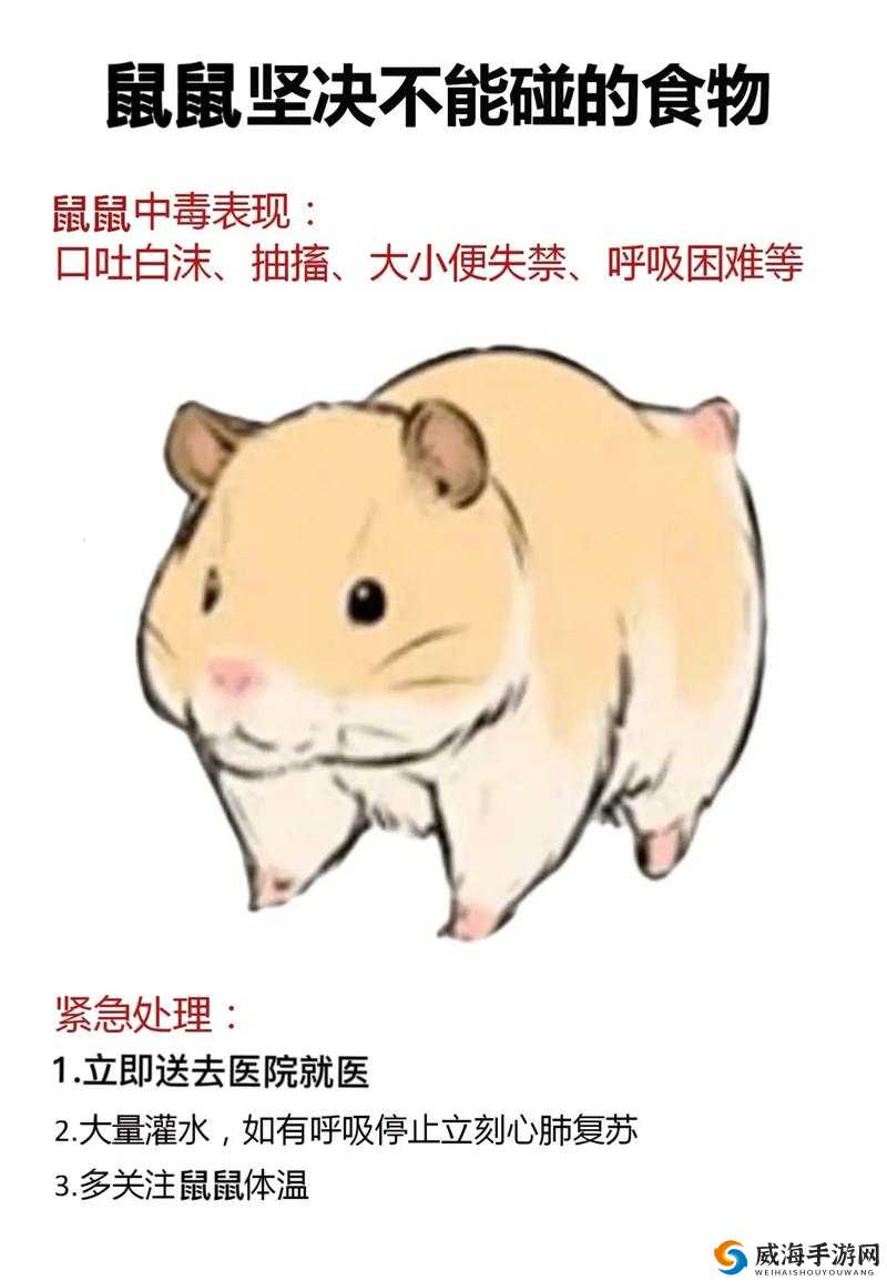 受塞跳 d 放在里面惩戒文：主人的专属玩具