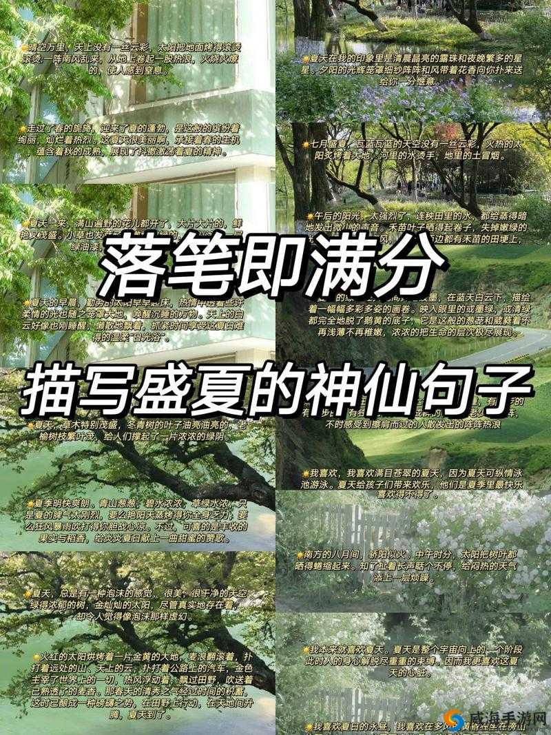 《我是神仙》新手上路：轻松告别菜鸟，开启神仙之旅的全方位攻略