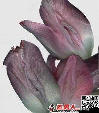 女子下部欣赏：探索未知的美丽