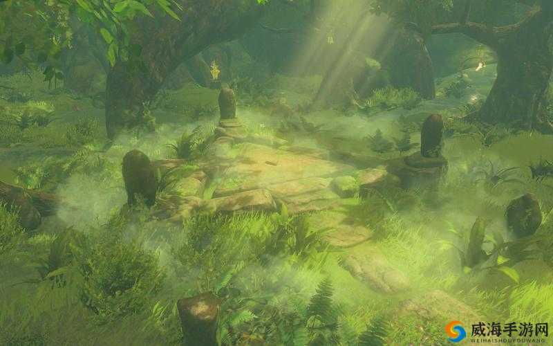 《龙斗士》森林旷野星攻略：通关秘籍全解析