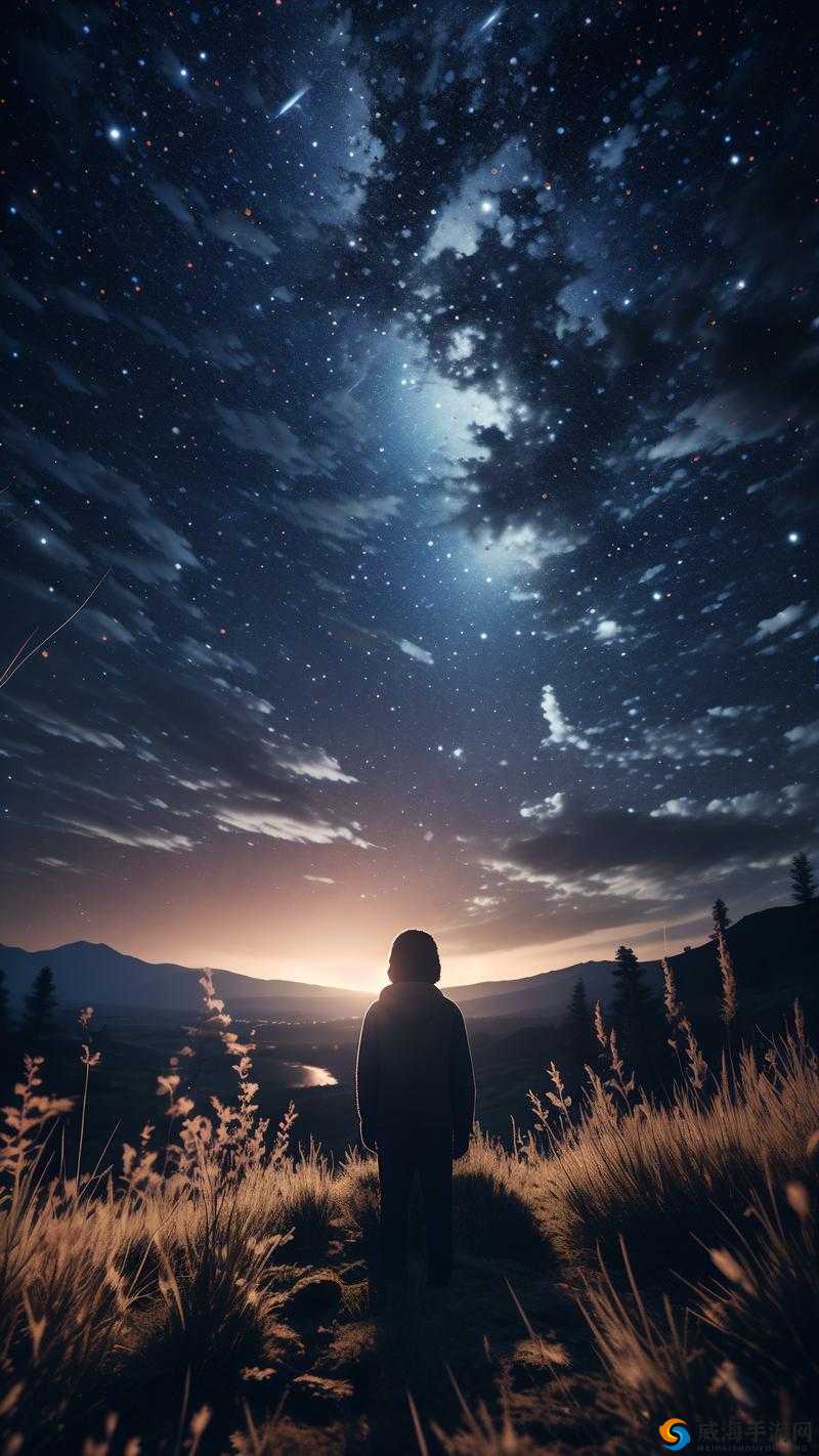 天天飞车：暗夜骑士与星空行者的对比