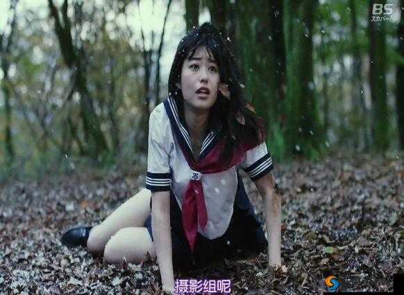 亚洲有码亚洲无码：成年人影片的魅力与争议