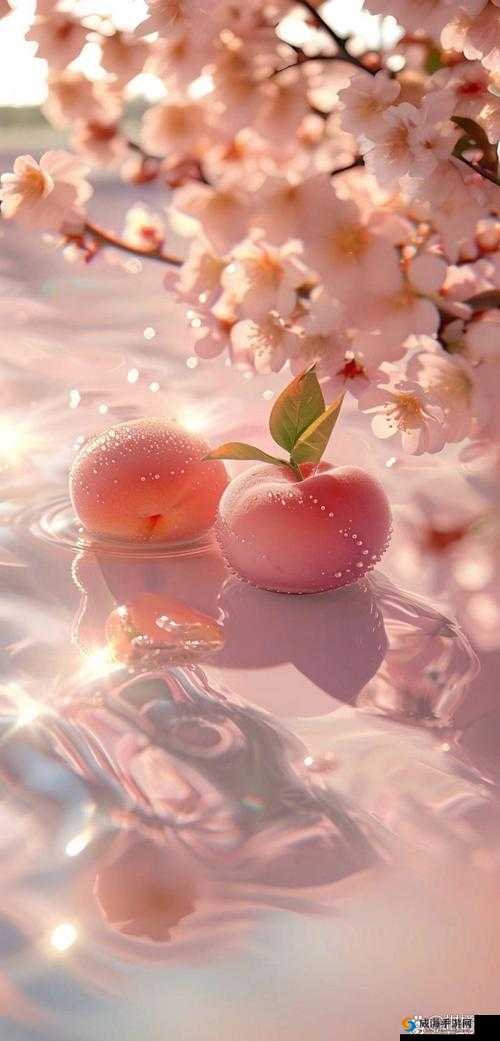 粉色水蜜桃和日本樱花的区别