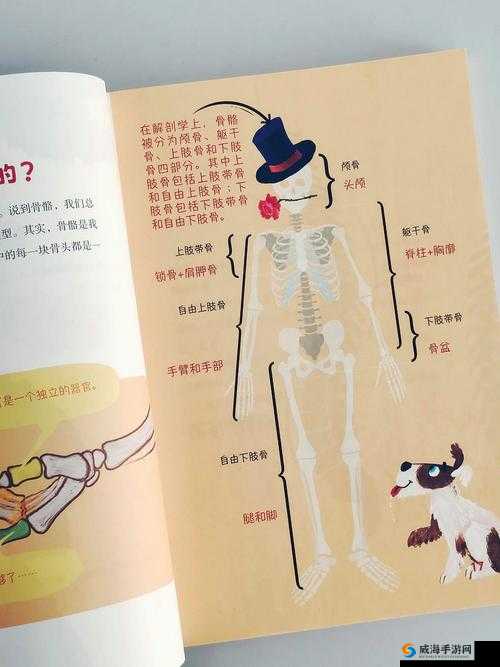 琪琪色人格第四：探索未知的精神之旅