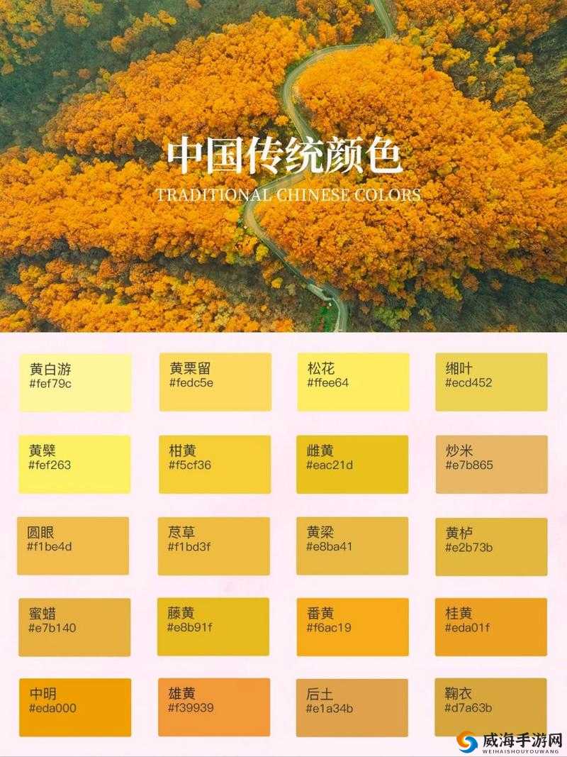 60 一级璜铯：独特的色彩标识