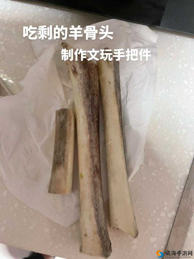 一小时人生中用燧石和骨头制作骨针的详细步骤解析