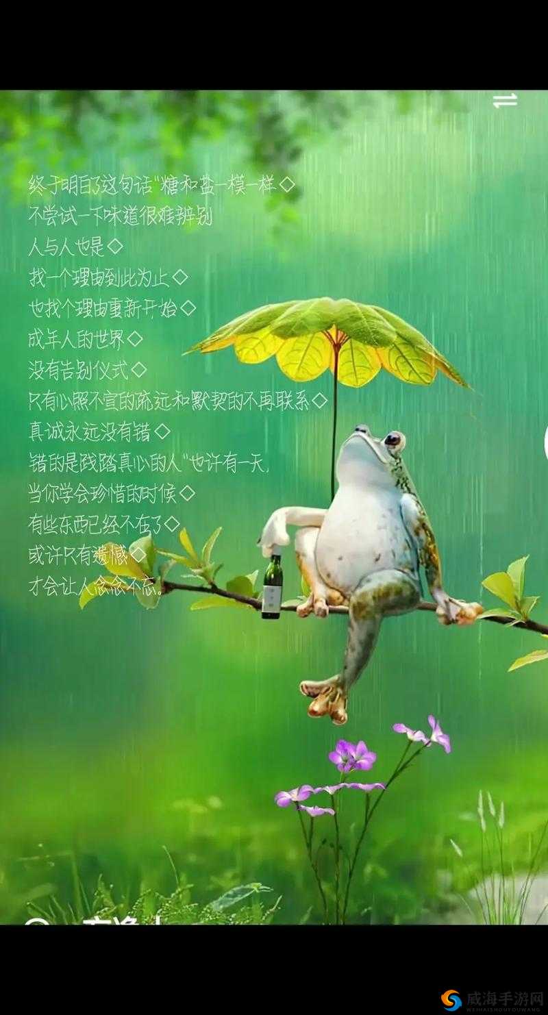 荡妇导航:带你领略不一样的世界