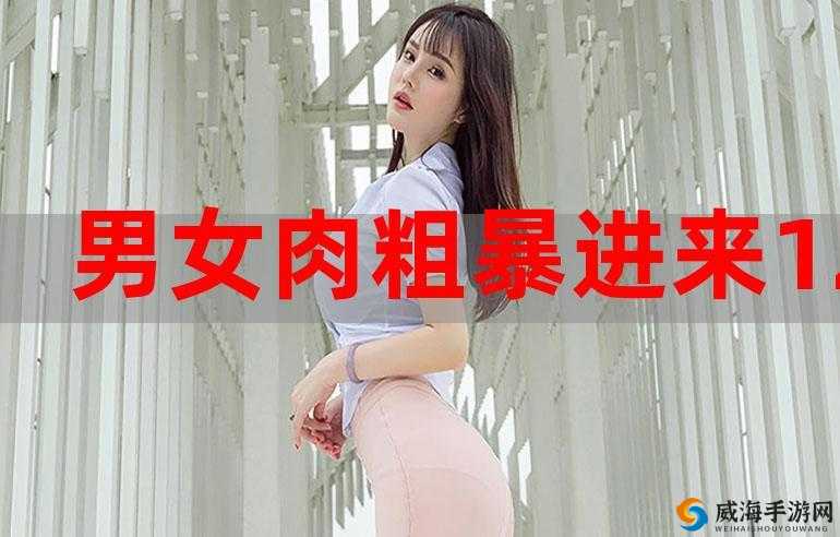 男女上下 120:独特的数字组合之谜