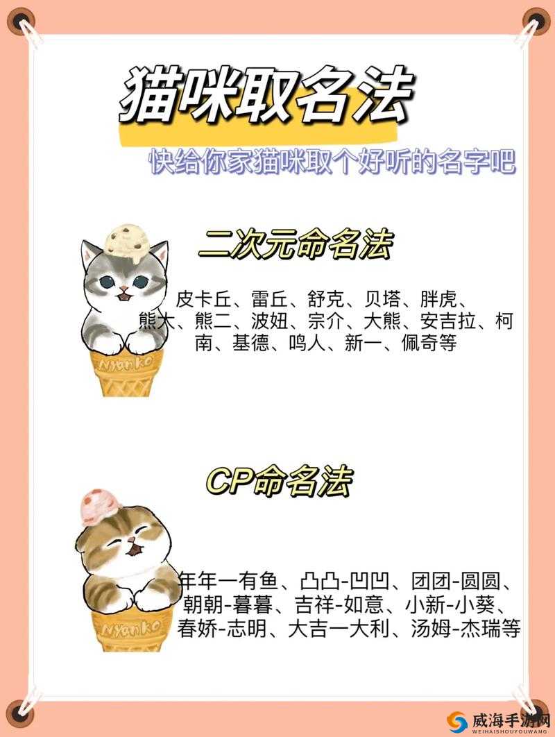 猫咪最新地域网名是什么啥：带你探索网络世界的新潮流