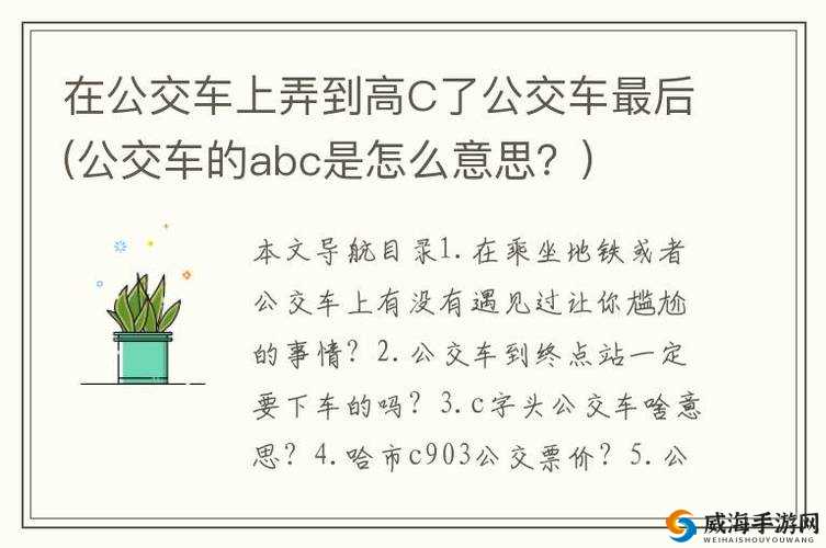 在公交车上，强弄到高 C