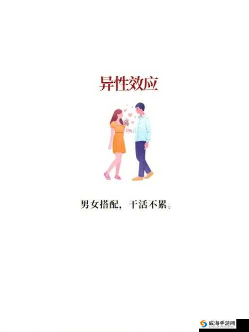 男女搭配干活不累：XX 职场故事