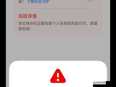 九一高危风险 9.1 免费版安装：风险提示与注意事项