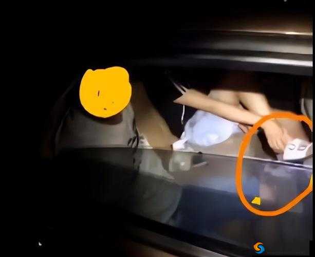 车上疯狂做爱引发的一系列故事