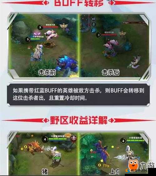王者荣耀野区知识大揭秘 打猪和打鸟的金币价格差异究竟有多大及详细解析