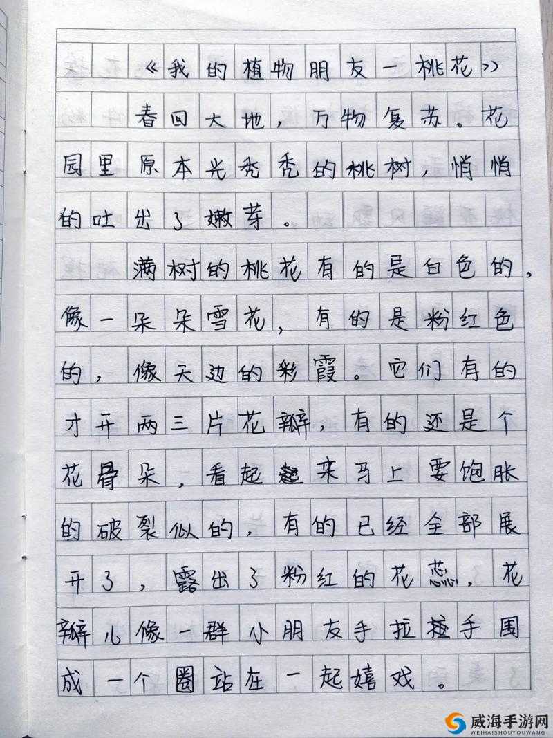 《至尊防御阵型揭秘:请叫我海盗的秘密武器》