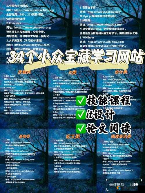 小黄花必看的网站：学习知识的宝藏之地