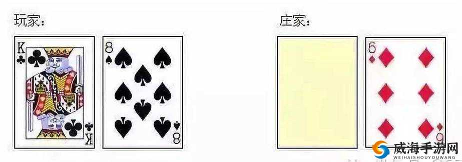 打扑克又叫又嗨：热闹牌局乐翻天