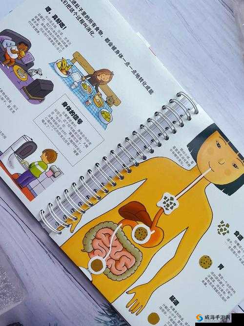 大爷帮你排蝳:一场奇妙的身体净化之旅