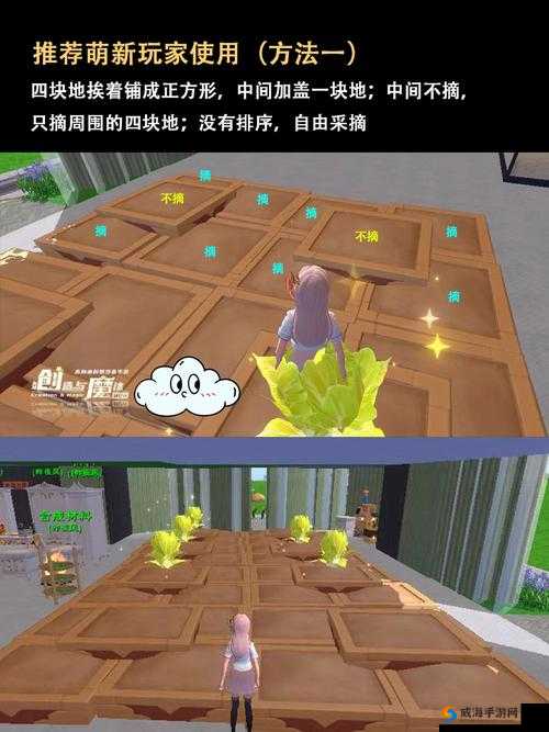 创造与魔法新手玩法技巧详解：萌新该如何玩