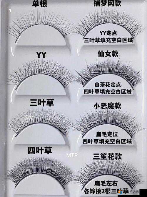 成品人精品人的区别四叶草：深入探究其内涵