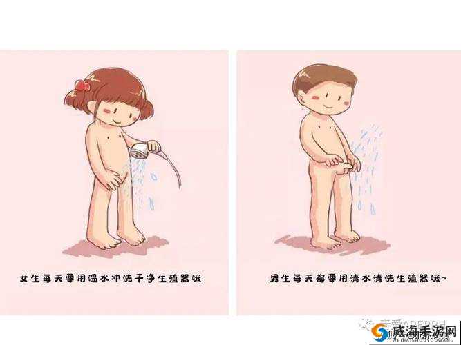 女人又爽 X 又黄 X 动漫掐两条:性教育与道德边界的探讨