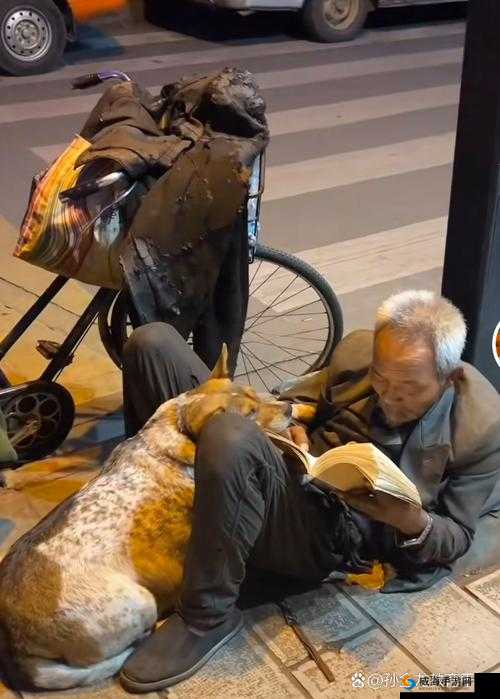 狗哥探店城中村 150：探寻城中村别样风情