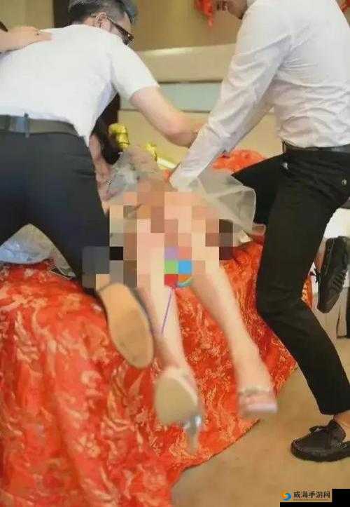 无套内谢 WWW：挑战伦理底线的行为