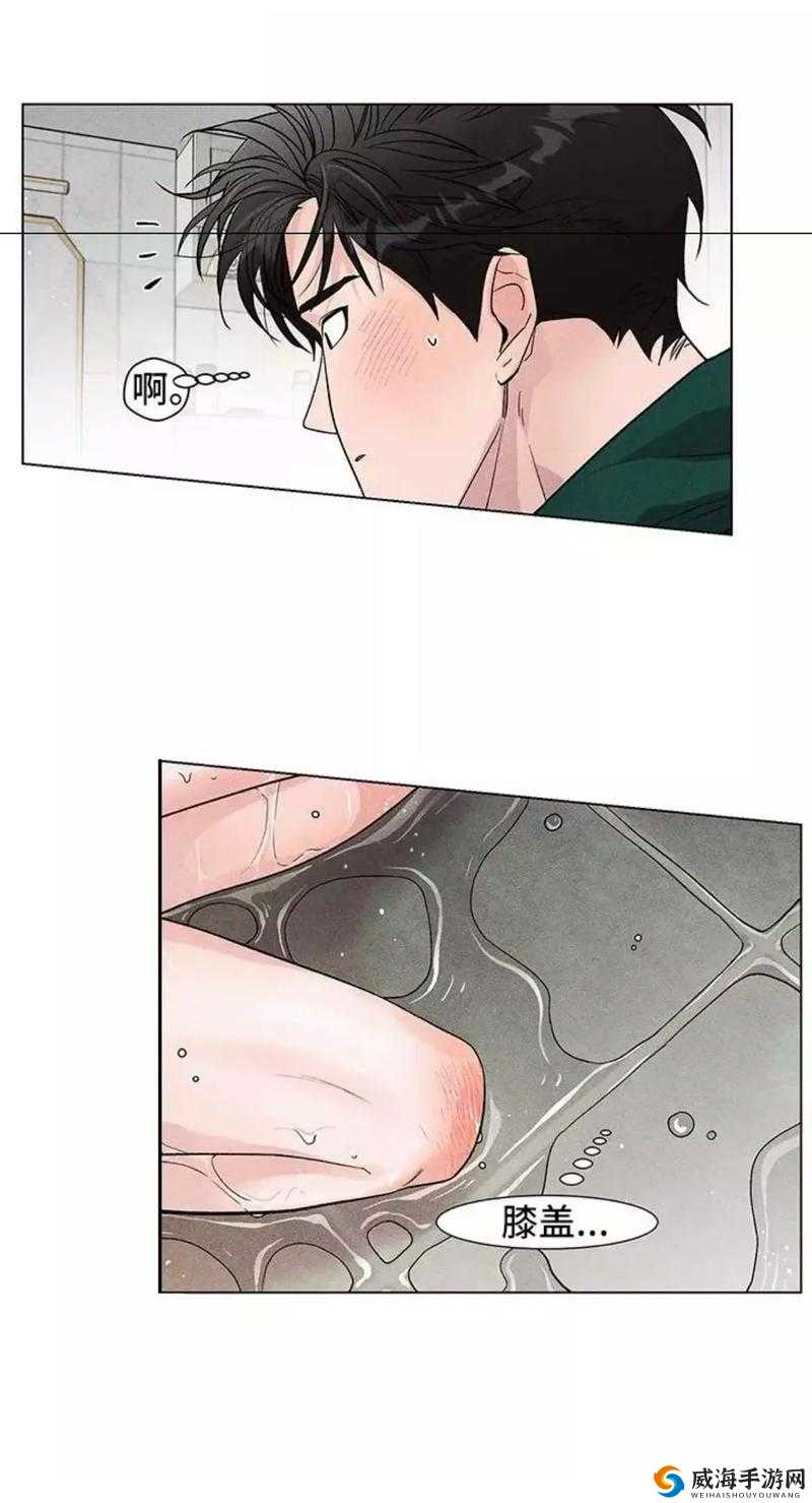 韩国无删无遮漫画大全：成年人之美
