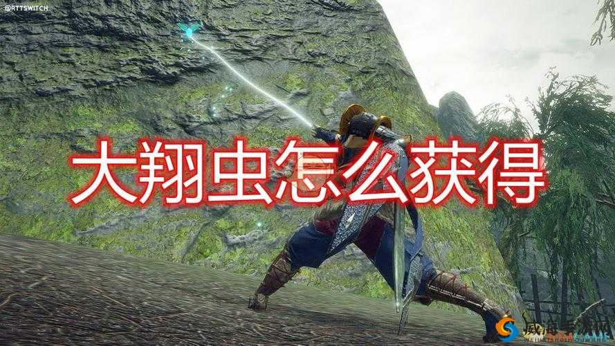 怪物猎人崛起大翔虫获取攻略：详解大翔虫获得方法