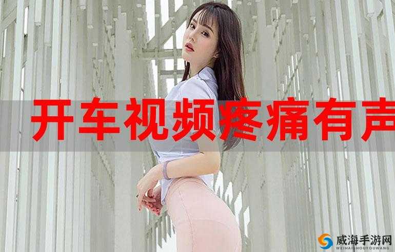 开车视频 APP 有疼痛声音下载免费:全新体验来袭