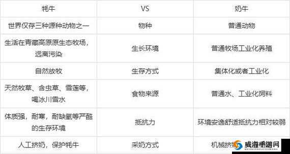 《Valheim牦牛驯养秘籍:英灵神殿牦牛养殖全攻略》