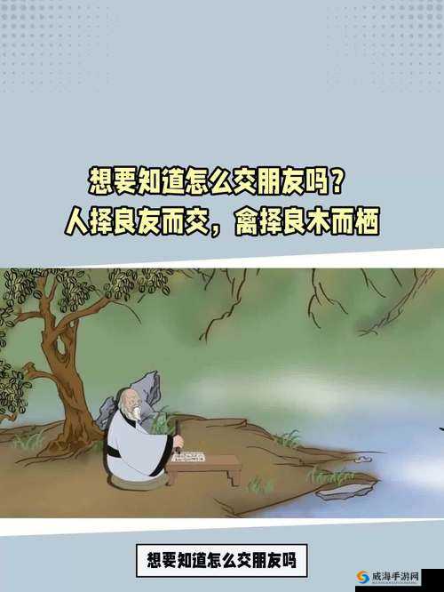 美国人禽交：道德与法律的边界