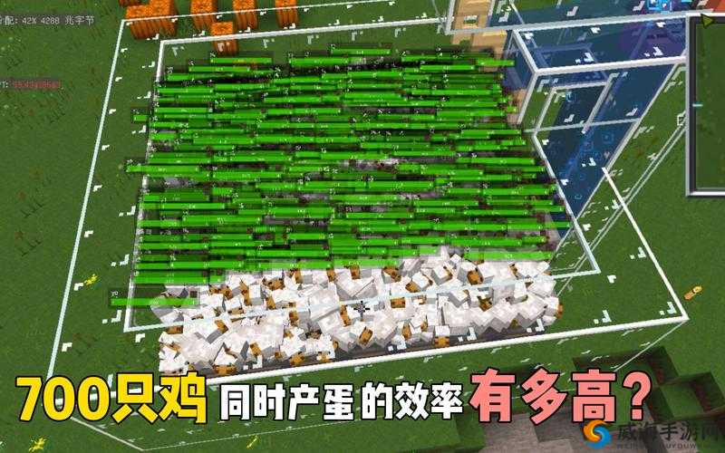 矮人要塞母鸡下蛋攻略：提升产蛋效率的方法与技巧分享