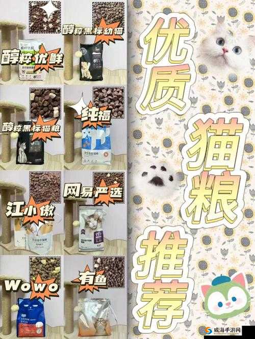 国产精品 777777：优质产品推荐