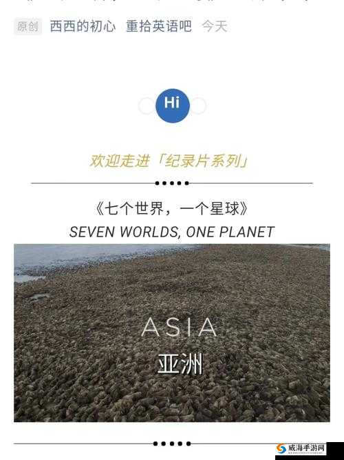 亚欧一二三四专区口：探索未知的世界
