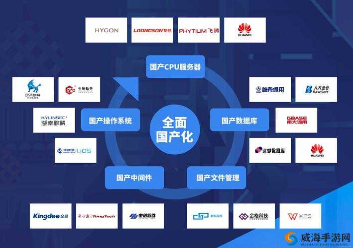 wwwsss 国产：引领创新的力量