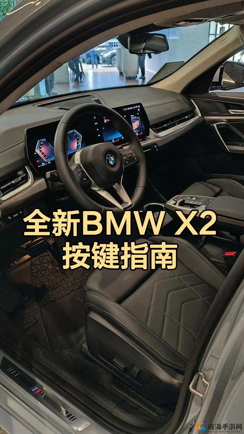 x9x9x9x9 任意槽 2024 入口全新解读
