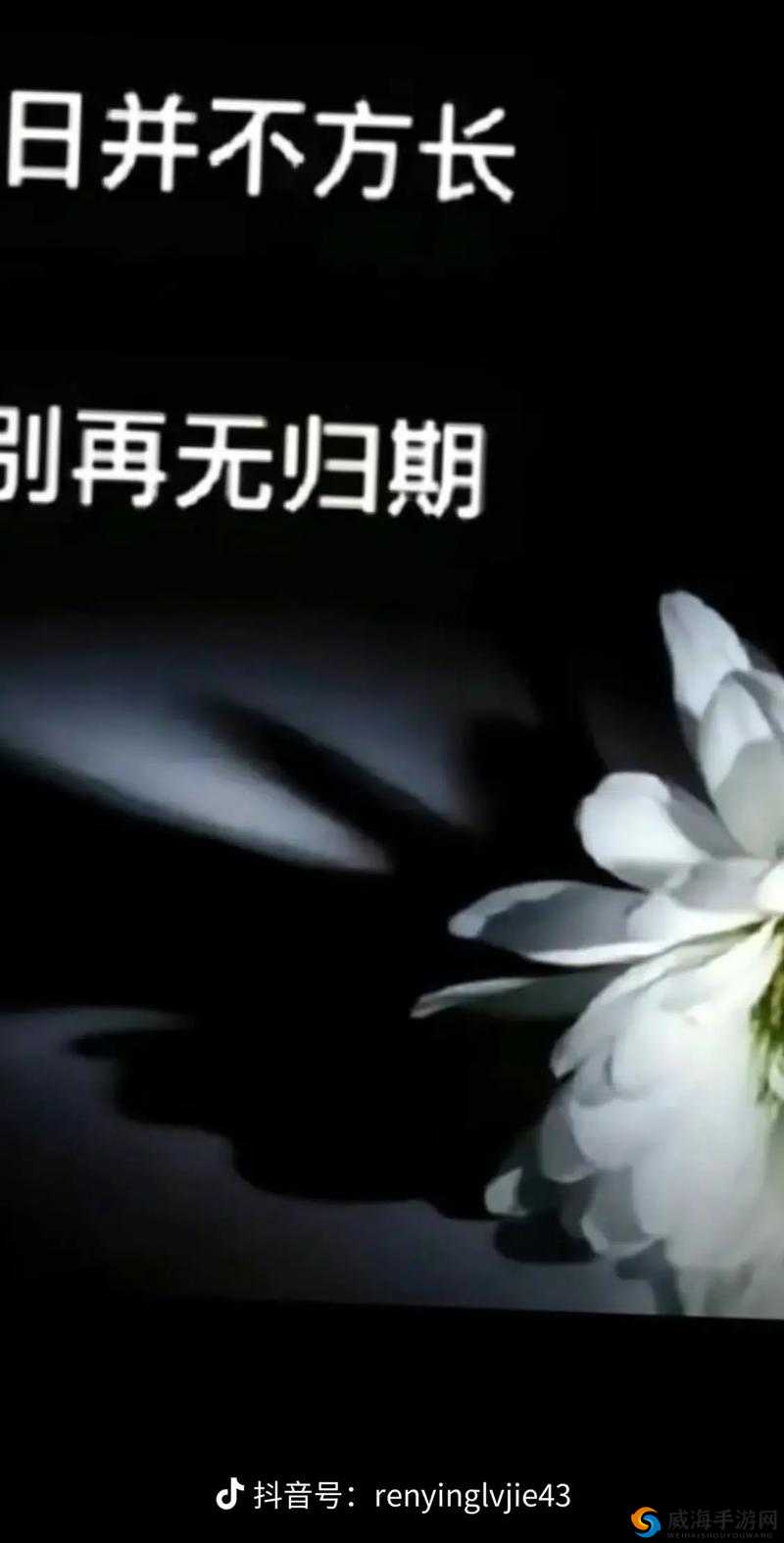 麻麻太深：拔出来痛，太舒服了：XX 技巧分享