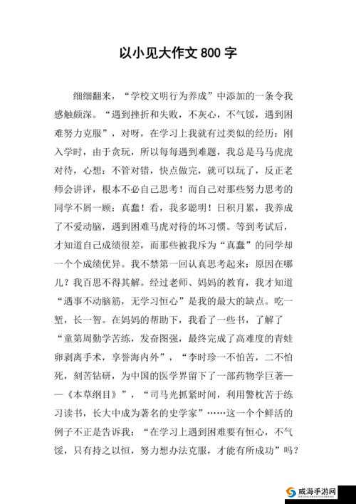 B 大：以小见大，以大见小