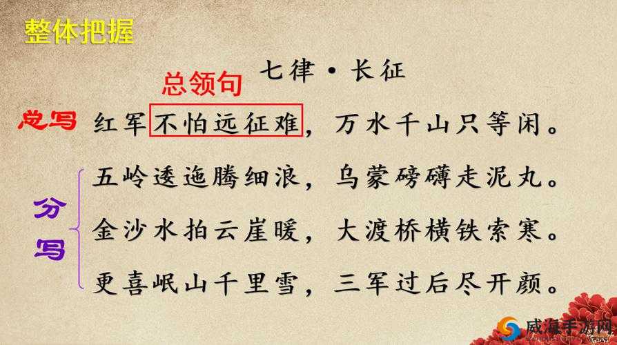万篇长征 zztt59：长征路上的奋斗与坚持