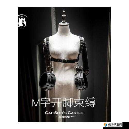 FXX 单脚吊缚 M 字开腿调教室：独特体验