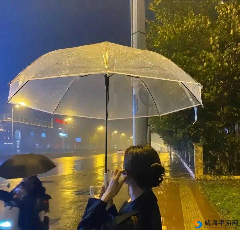 晚上:弄了好几个小雨伞
