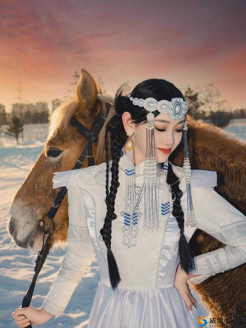 草原上的小公主 NH 的奇妙冒险