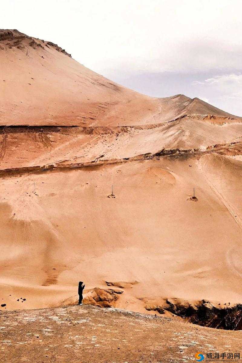 见证沙漠神庙地面的秘密:破解攻略与方法研究