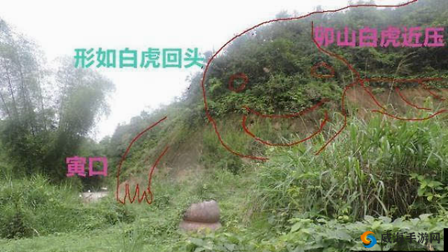 极品白虎美穴：探索神秘风水宝地