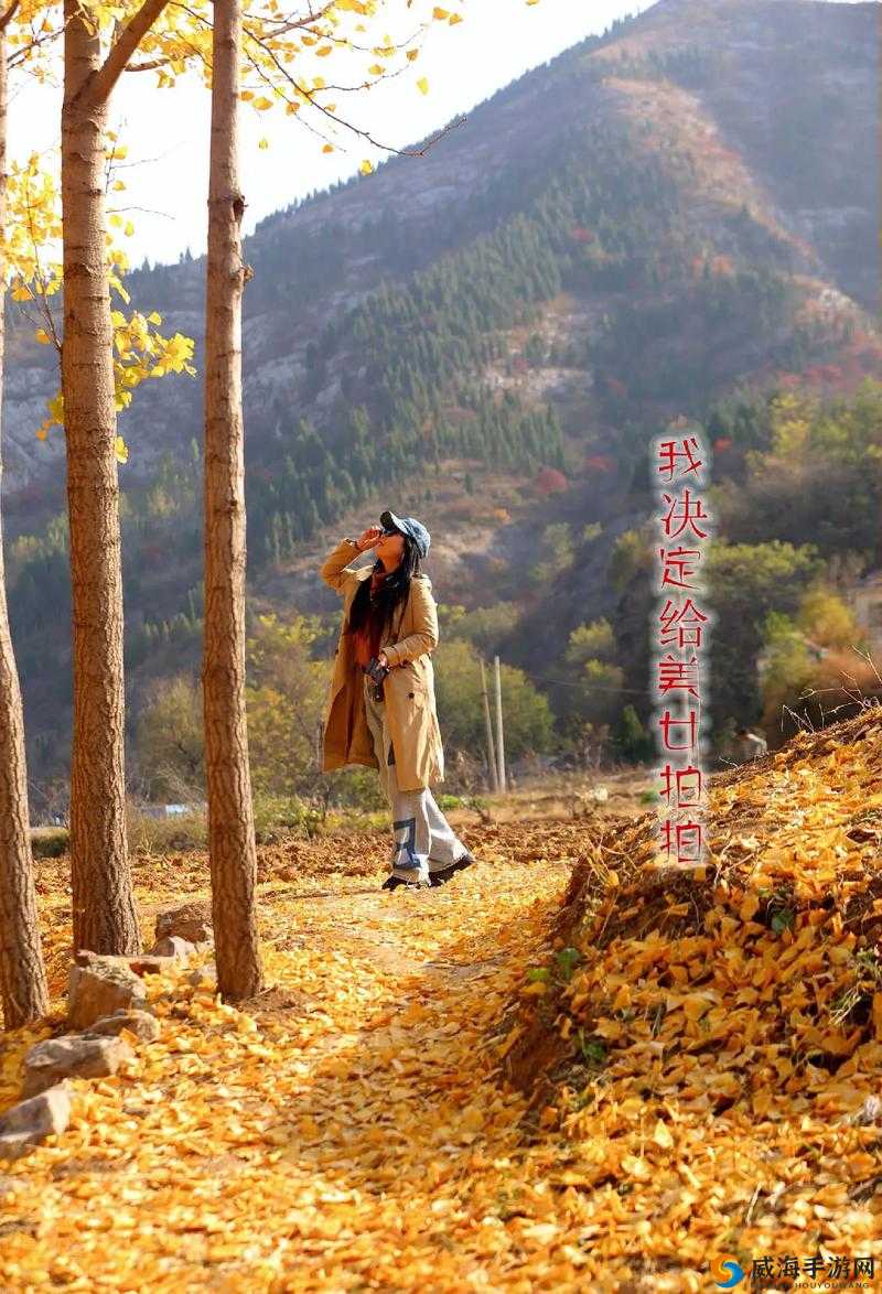 紫塞秋韵：神秘道士踪迹探秘