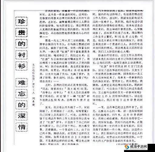 淫荡家政妇：独特魅力引发的故事