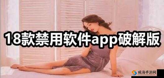 夜里 100 种禁用软件大全：探索神秘软件世界